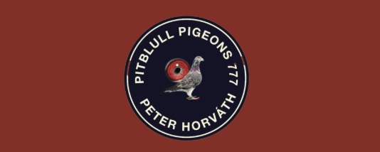 Pitbull Pigeons